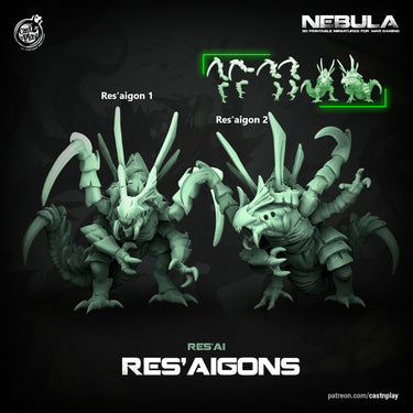 Res'aigons Bundle